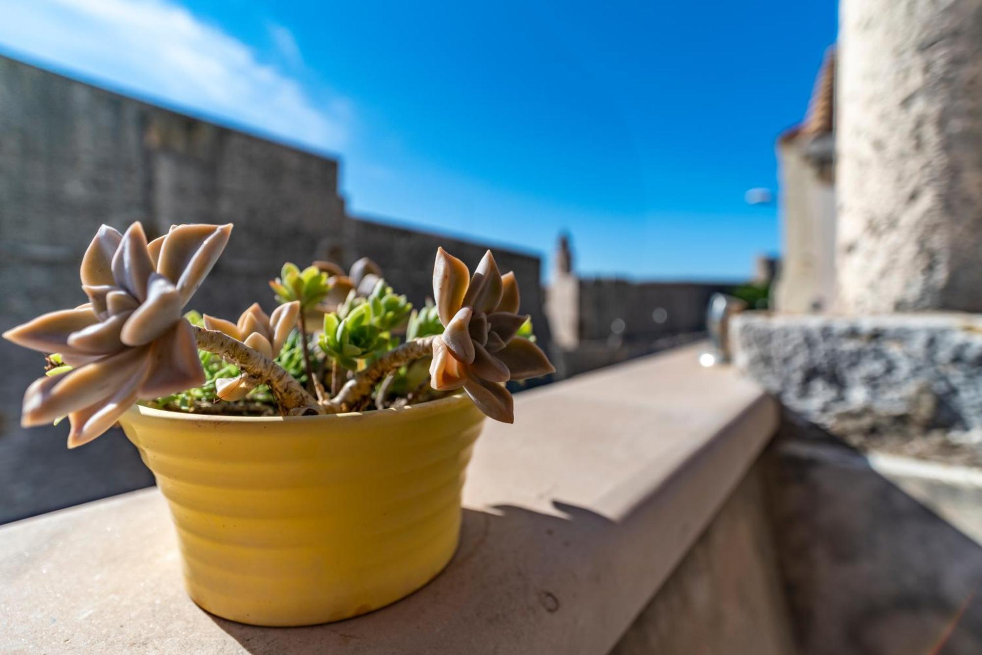 Villa Ragusa Vecchia 外观 照片