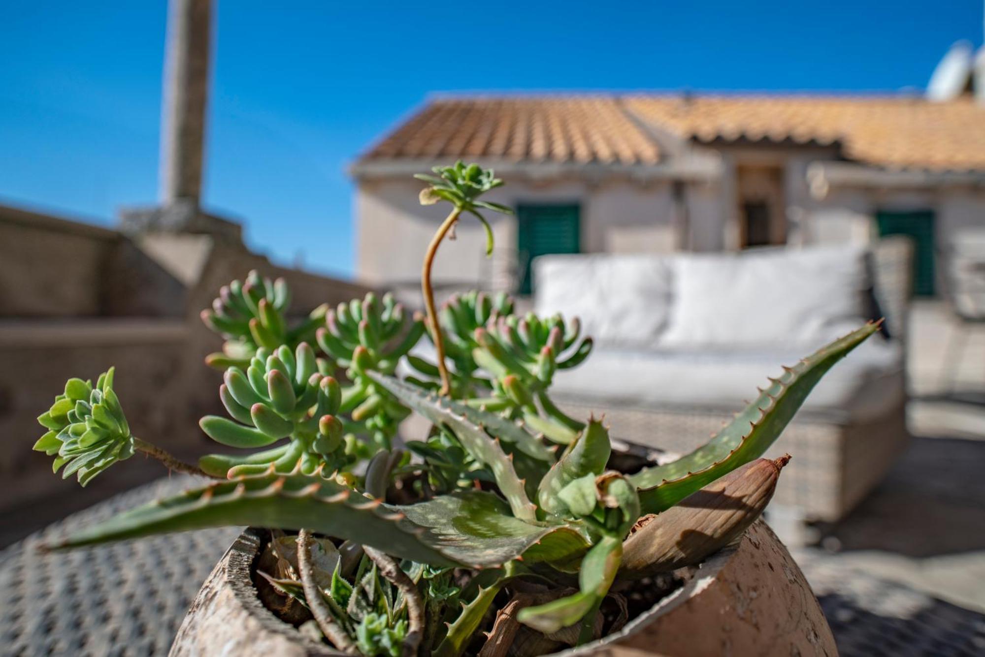 Villa Ragusa Vecchia 外观 照片